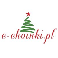 Logo firmy Sklep Internetowy e-choinki.pl