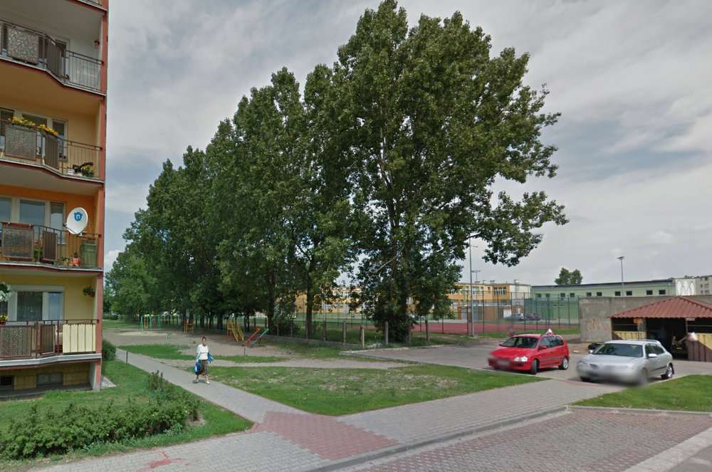 Tak wycięte ostatnio topole przy Gniazdowskiego wyglądały latem. Fot. google maps