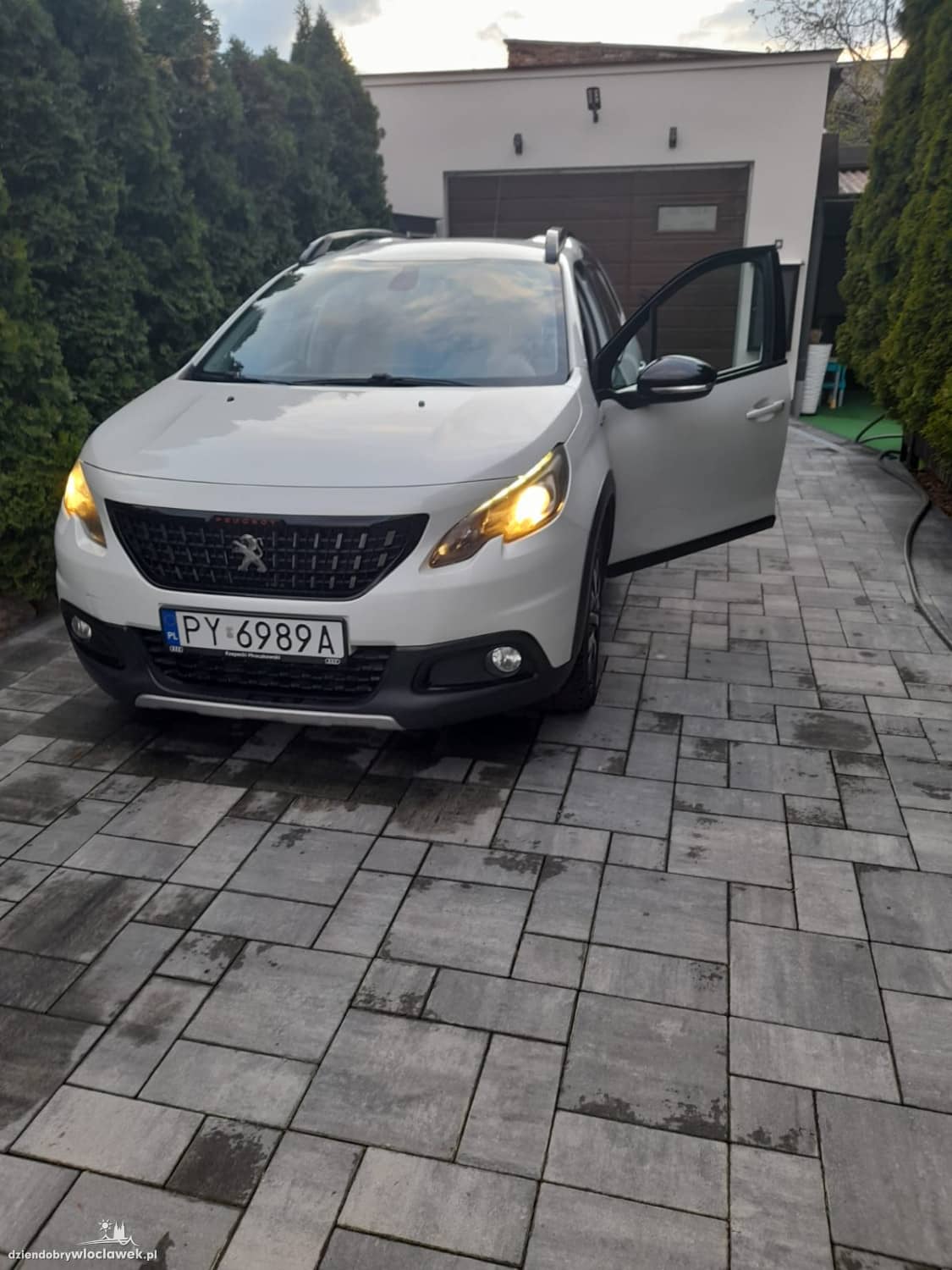 Zdjęcie