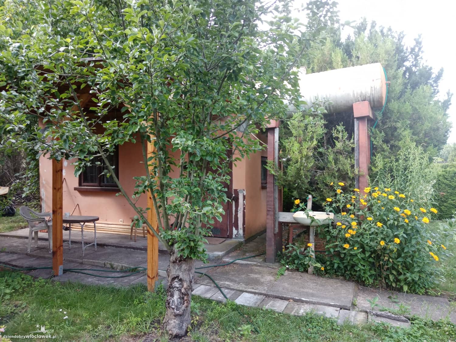 Zdjęcie