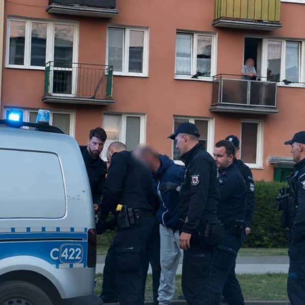 Zdjęcie