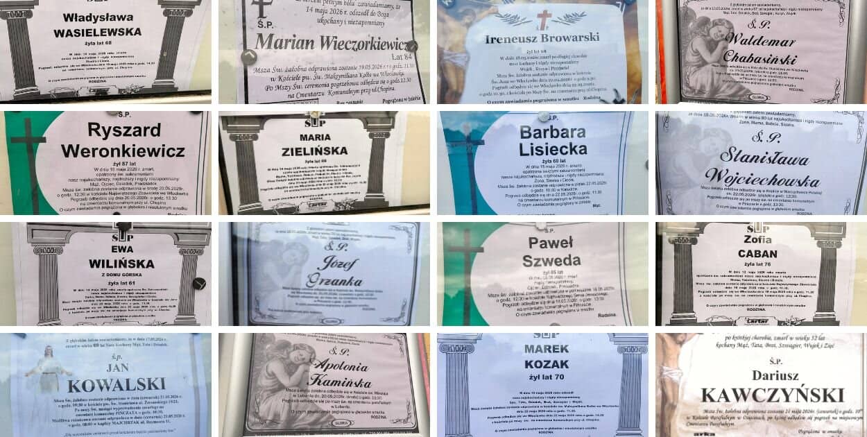 Zdjęcie