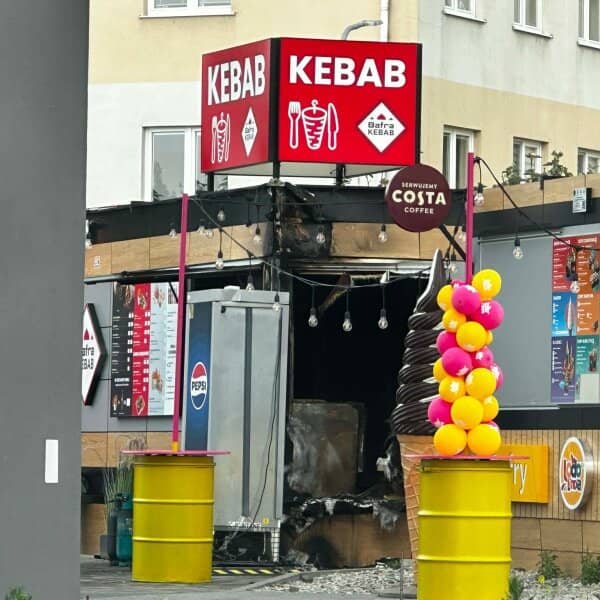 Zdjęcie