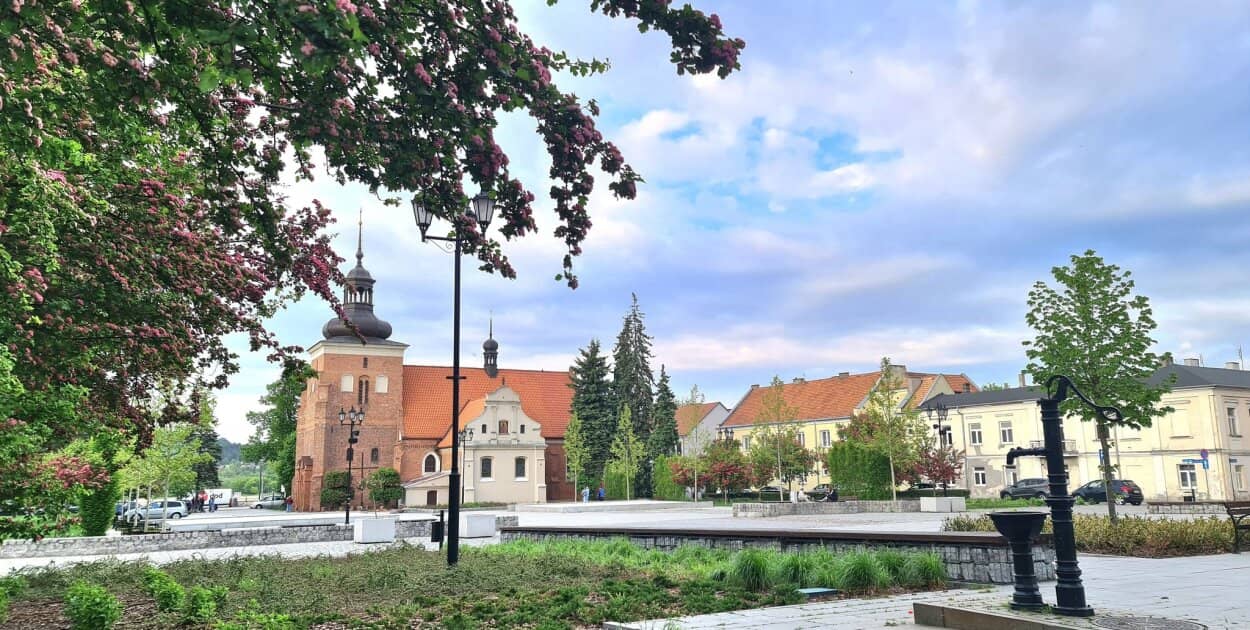 Zdjęcie