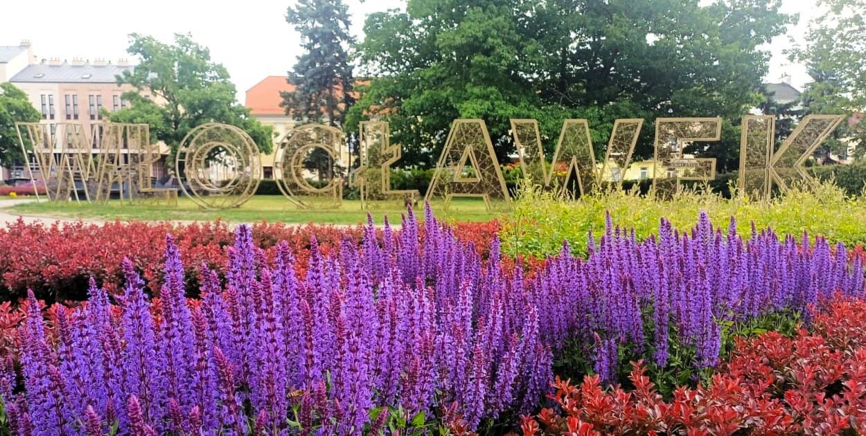 Zdjęcie