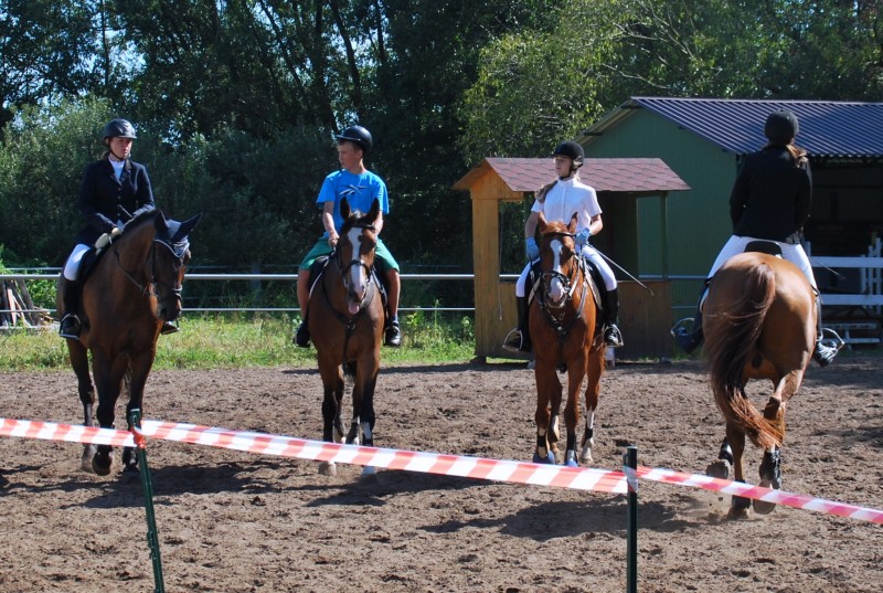 Zawody jeździeckie