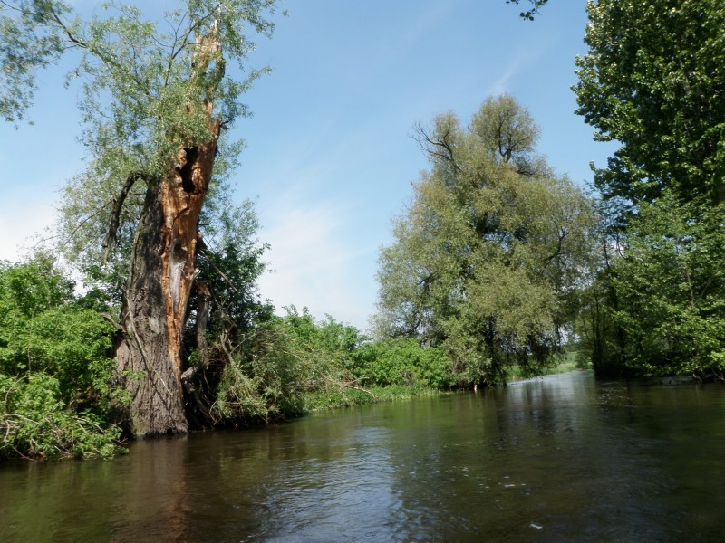 Spływy kajakowe