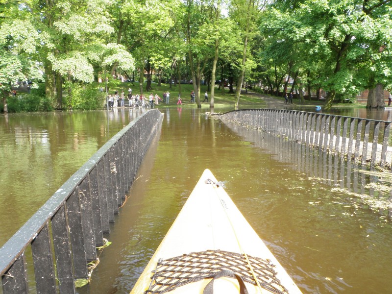 Spływy kajakowe