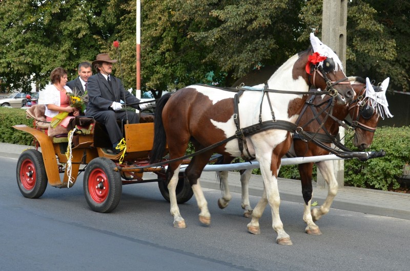 Brześć świętuje