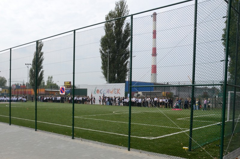 Orlik otwarty