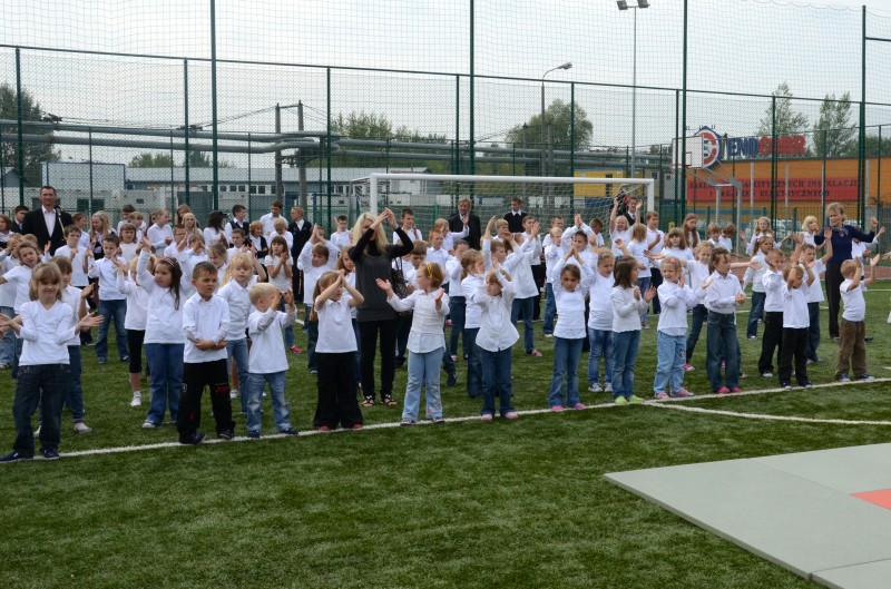 Orlik otwarty