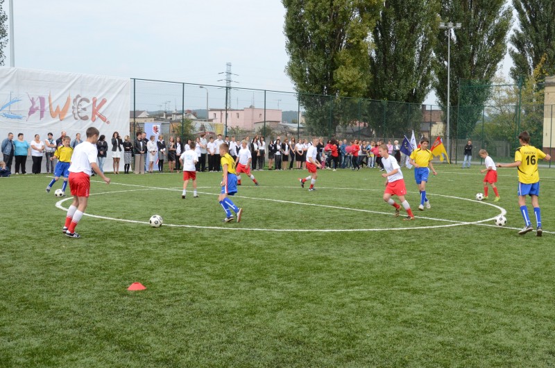 Orlik otwarty