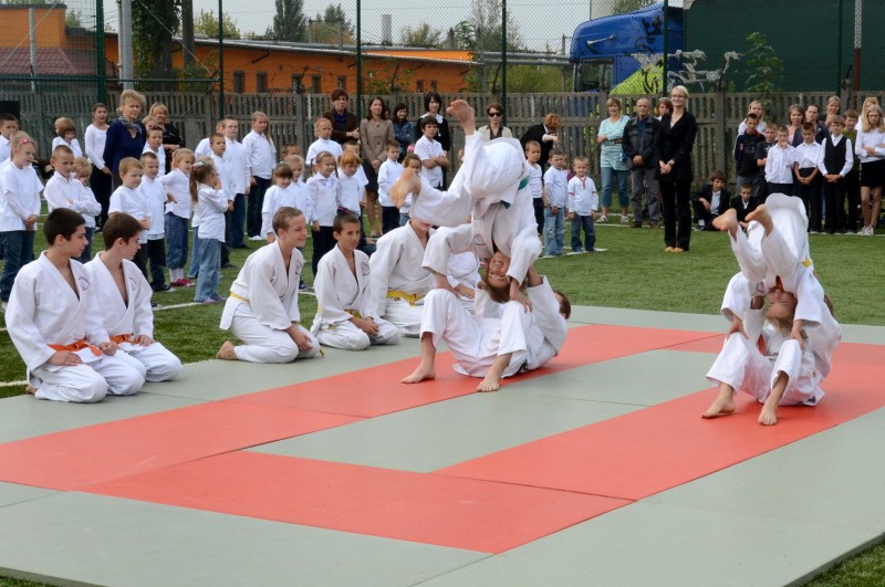 Orlik otwarty