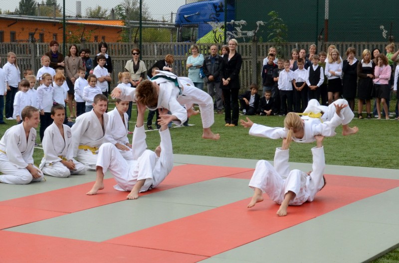 Orlik otwarty