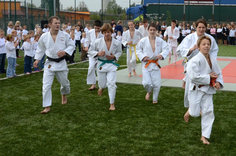 Orlik otwarty