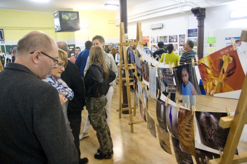 Galeria Bezdomna