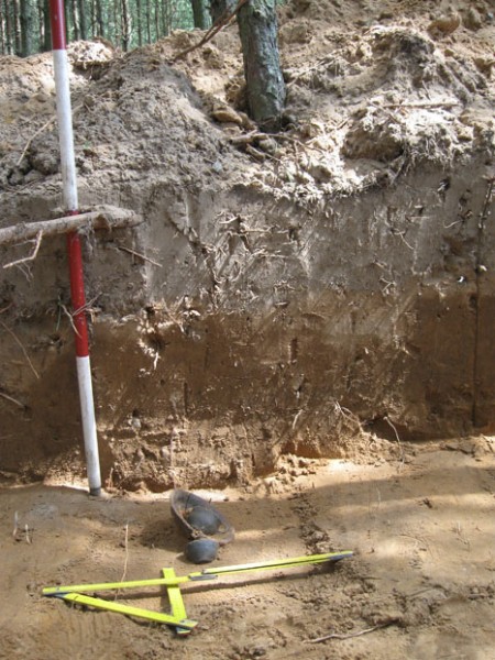 Badania archeologiczne w Kołacie