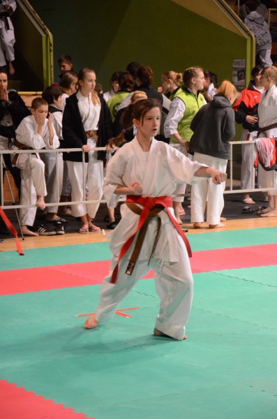 II Noworoczny Turniej Karate Tradycyjnego