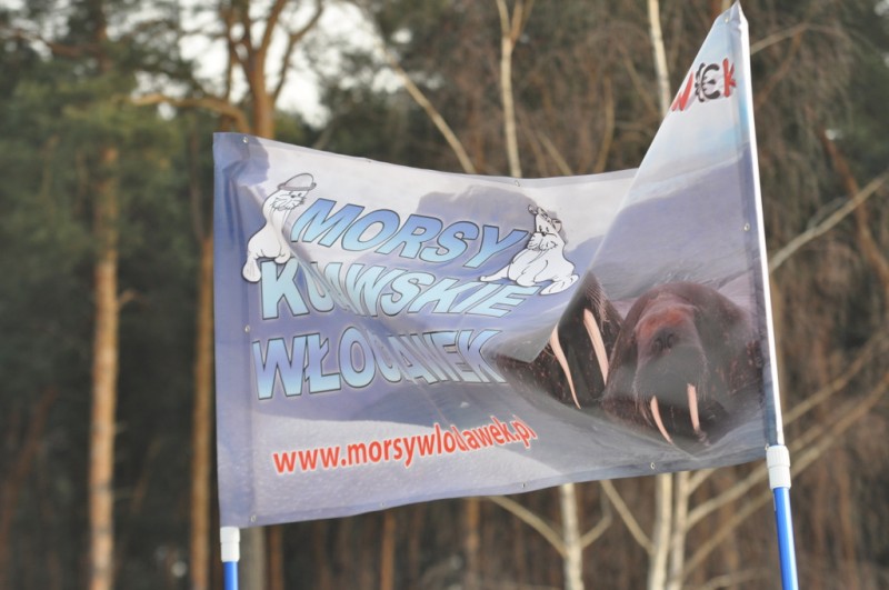 Włocławskie Morsy