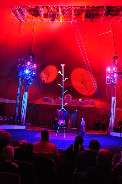 Wielkie cyrkowe show we Włocławku