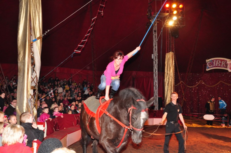 Wielkie cyrkowe show we Włocławku