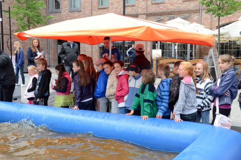 Piknik Ekologiczny we Wzorcowni
