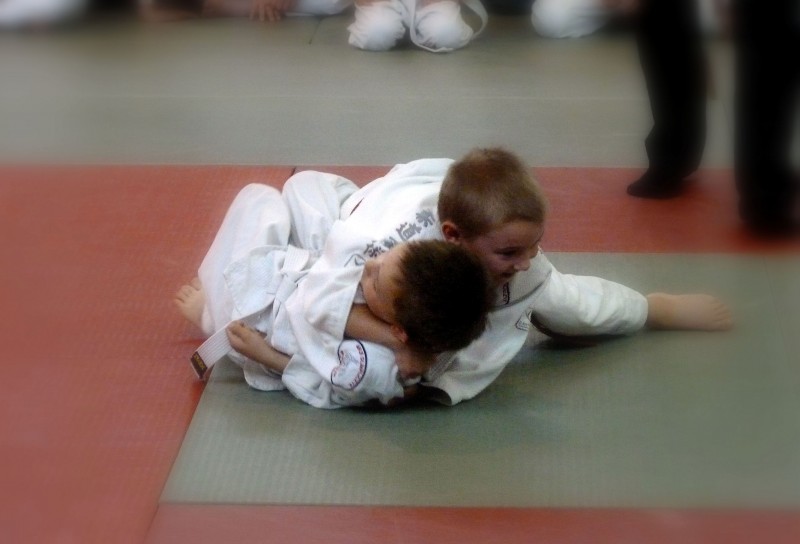 Włocławscy judocy ponownie z medalami!
