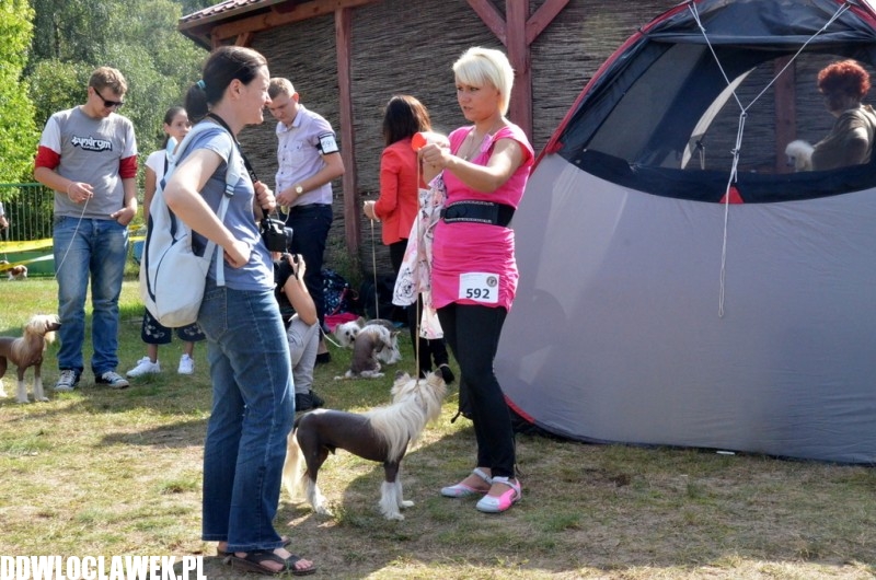 XXIV Wystawa Psów Rasowych
