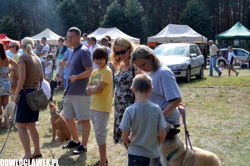 XXIV Wystawa Psów Rasowych