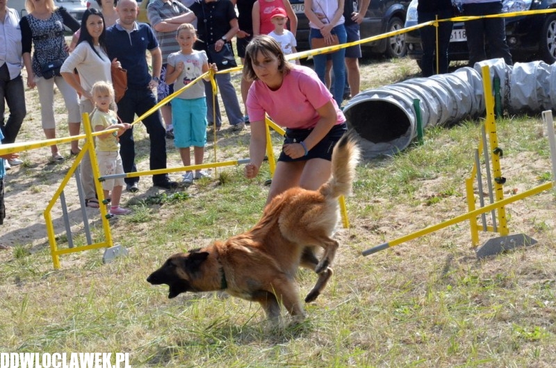 XXIV Wystawa Psów Rasowych