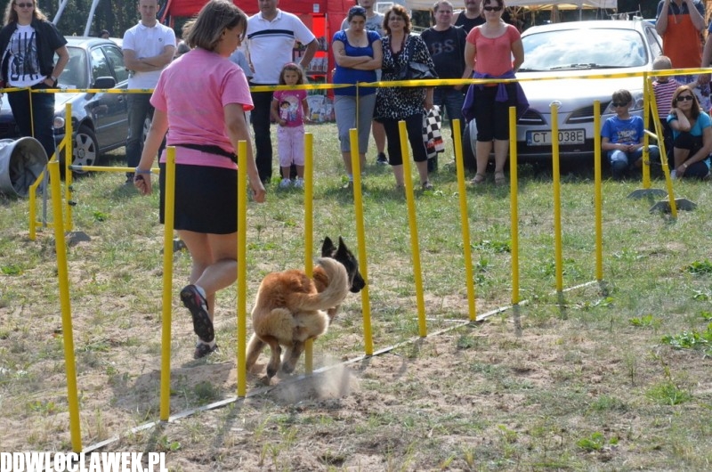 XXIV Wystawa Psów Rasowych