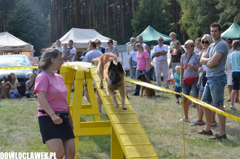 XXIV Wystawa Psów Rasowych