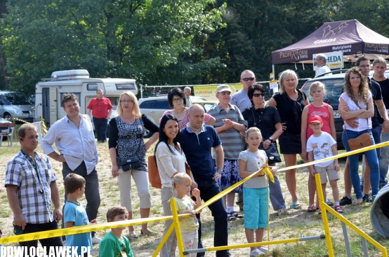 XXIV Wystawa Psów Rasowych