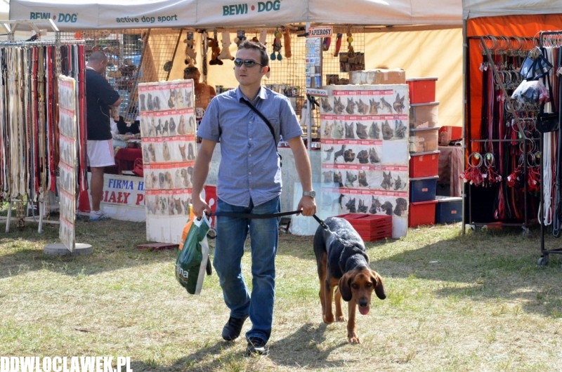 XXIV Wystawa Psów Rasowych