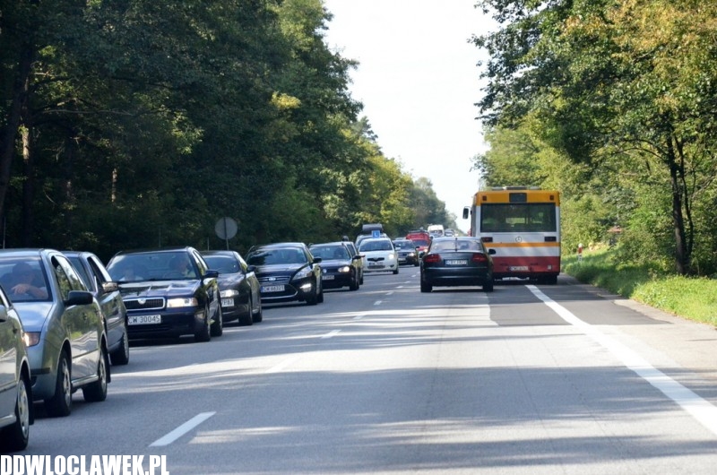 XXIV Wystawa Psów Rasowych