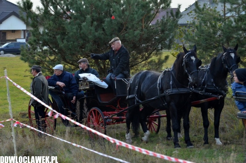 Pogoń za lisem