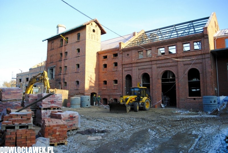 Rośnie 