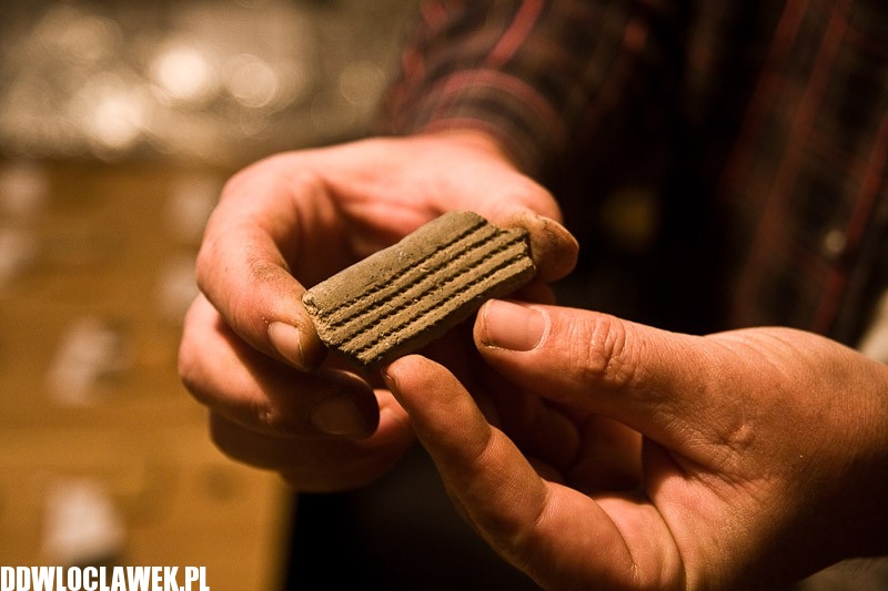 Archeolodzy na Kujawach
