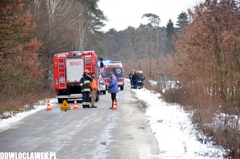 Groźny wypadek pod Włocławkiem! Bus wypadł z drogi i uderzył w drzewo!