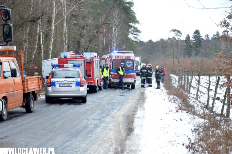 Groźny wypadek pod Włocławkiem! Bus wypadł z drogi i uderzył w drzewo!