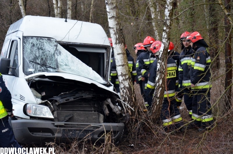 Groźny wypadek pod Włocławkiem! Bus wypadł z drogi i uderzył w drzewo!