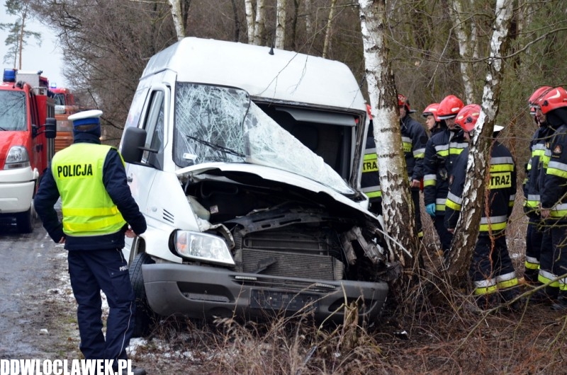 Groźny wypadek pod Włocławkiem! Bus wypadł z drogi i uderzył w drzewo!