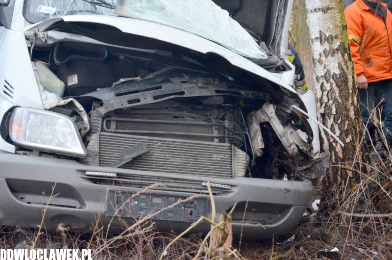 Groźny wypadek pod Włocławkiem! Bus wypadł z drogi i uderzył w drzewo!