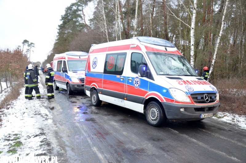 Groźny wypadek pod Włocławkiem! Bus wypadł z drogi i uderzył w drzewo!
