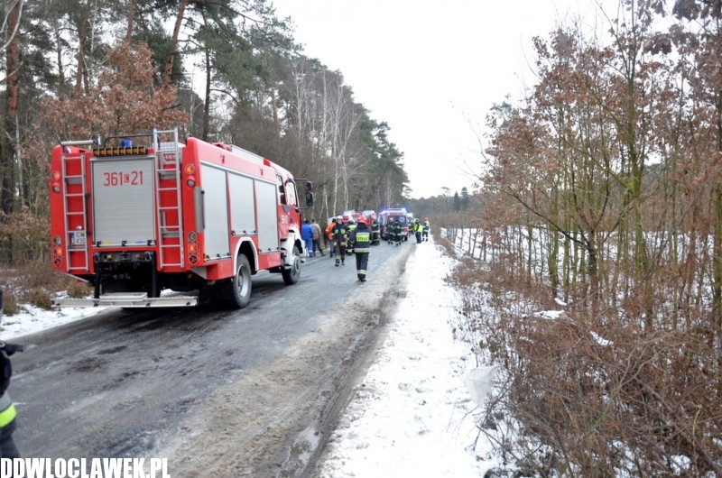 Groźny wypadek pod Włocławkiem! Bus wypadł z drogi i uderzył w drzewo!