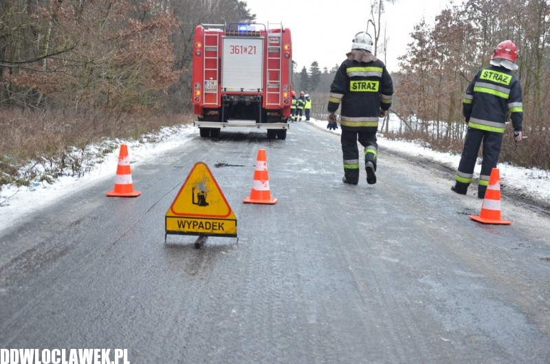 Groźny wypadek pod Włocławkiem! Bus wypadł z drogi i uderzył w drzewo!