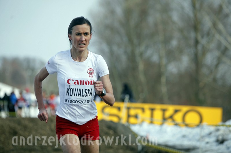 Mistrzostwa Świata w Biegach Przełajowych