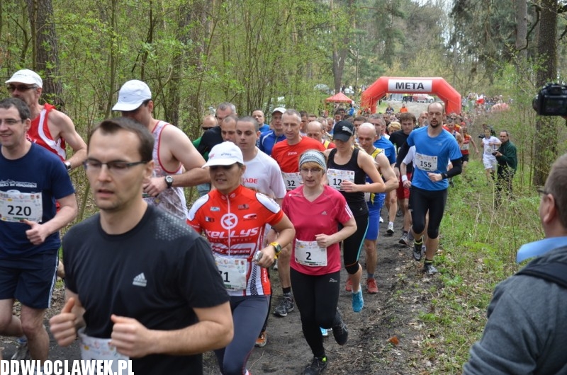 31 edycja Biegu Kujawiaka na włocławskim Zawiślu