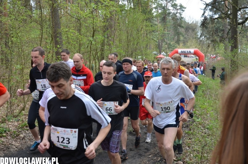 31 edycja Biegu Kujawiaka na włocławskim Zawiślu