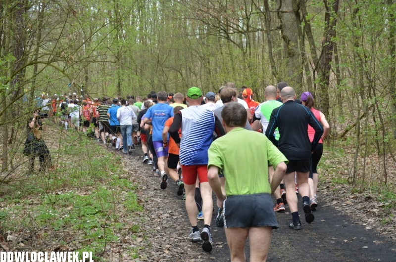 31 edycja Biegu Kujawiaka na włocławskim Zawiślu
